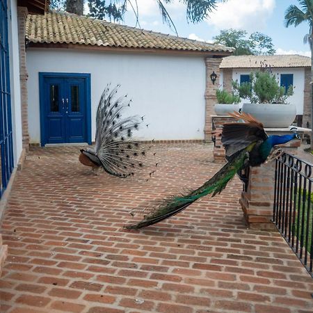 מרונגאבה Hotel Fazenda Sao Silvano מראה חיצוני תמונה