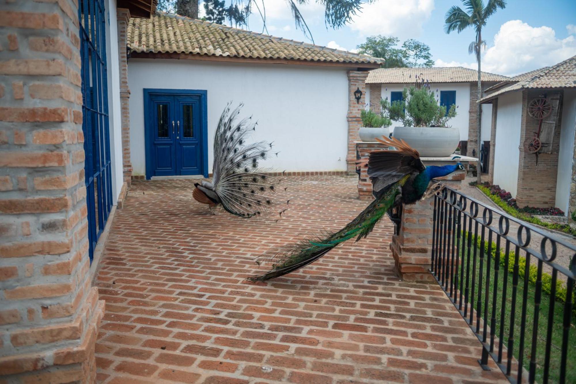 מרונגאבה Hotel Fazenda Sao Silvano מראה חיצוני תמונה