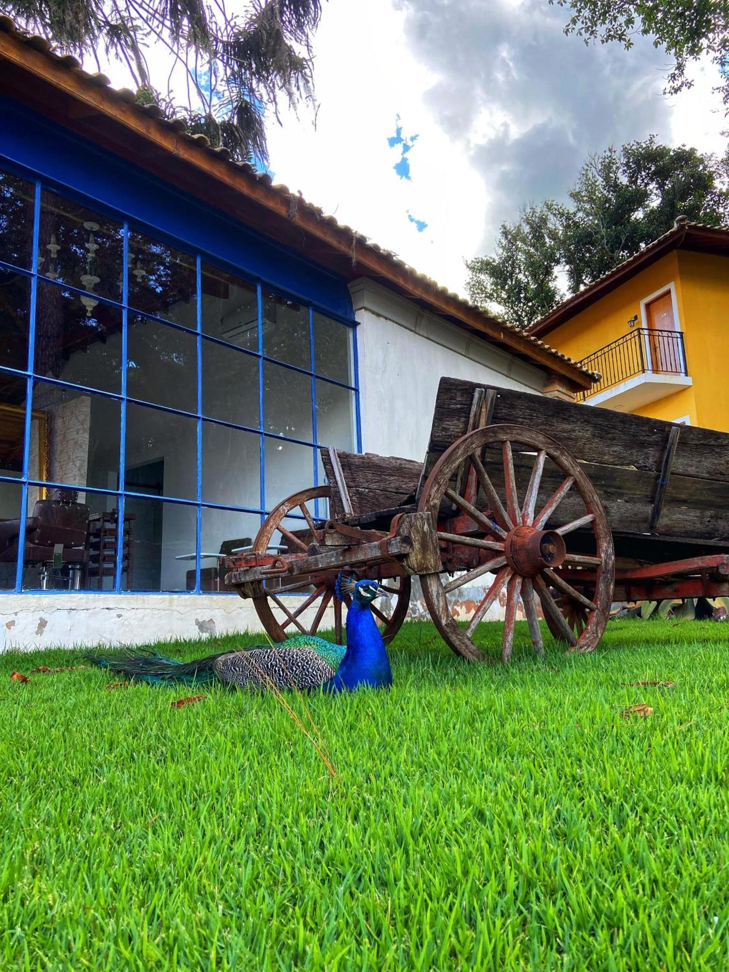 מרונגאבה Hotel Fazenda Sao Silvano מראה חיצוני תמונה