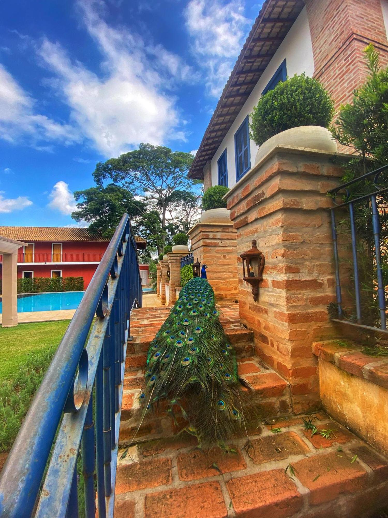 מרונגאבה Hotel Fazenda Sao Silvano מראה חיצוני תמונה